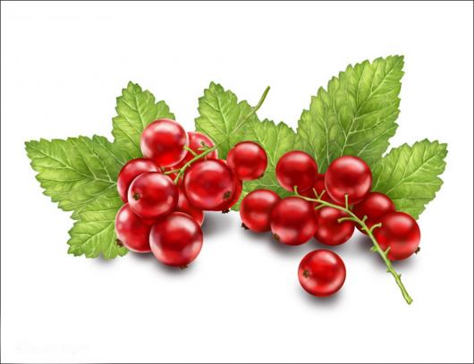 Пюре Organic-bar красная смородина 0,3 кг замороженное